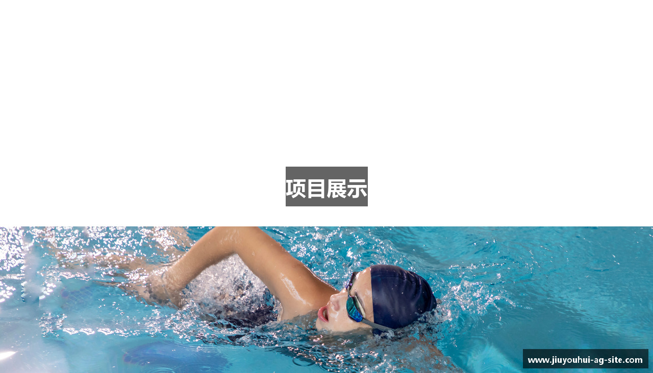 项目展示